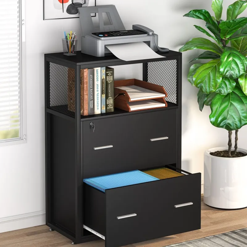 Tribesigns File Cabinets|File Cabinets*2 - Drawer File Cabinet, Letter/Legal / A4 Size Filing Cabinet with Lock