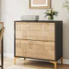 Tribesigns File Cabinets|File Cabinets*2 - Drawer File Cabinet, Modern Filing Cabinet with Adjustable Hanging Bar
