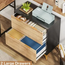 Tribesigns File Cabinets|File Cabinets*2 - Drawer File Cabinet, Modern Filing Cabinet with Adjustable Hanging Bar