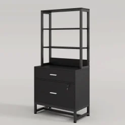 Tribesigns File Cabinets|File Cabinets*2-Drawer File Cabinet, Vertical Filing Cabinet with Lock & Bookshelf