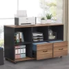 Tribesigns File Cabinets|File Cabinets*File Cabinet, 43 inches Mobile Filing Cabinet for Letter Size