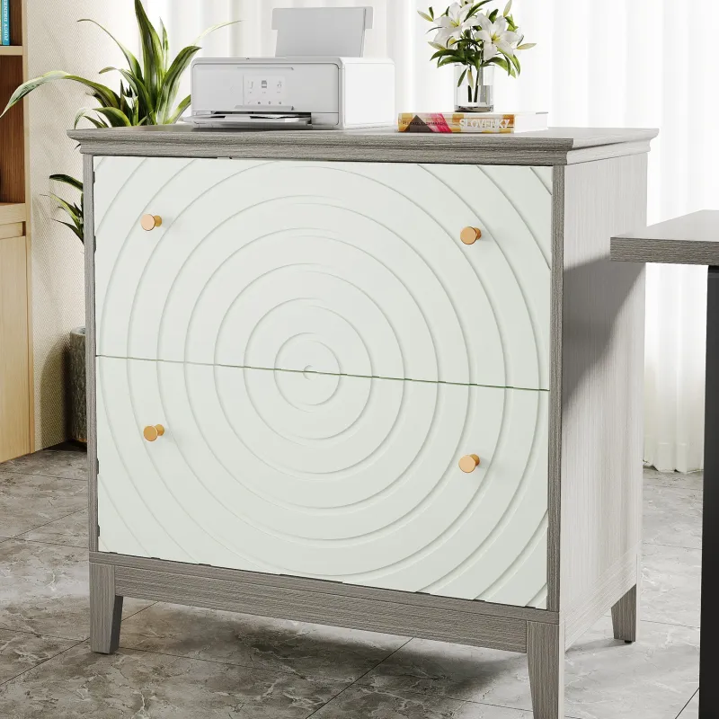 Tribesigns File Cabinets|File Cabinets*Lateral File Cabinet, Modern Filing Storage Cabinet with 2 Drawers