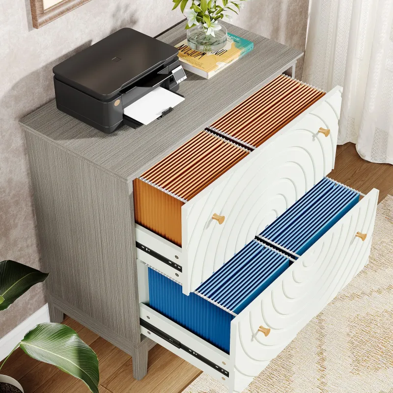 Tribesigns File Cabinets|File Cabinets*Lateral File Cabinet, Modern Filing Storage Cabinet with 2 Drawers