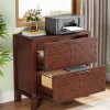 Tribesigns File Cabinets|File Cabinets*Retro File Cabinet, Storage Cabinet with 2 Storage Drawers